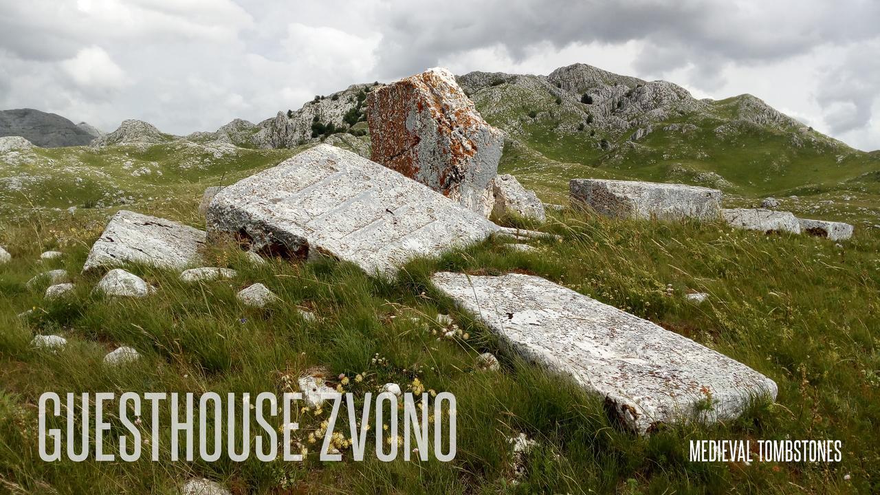 Guesthouse Zvono Pluzine Exterior photo